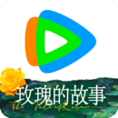 大长腿的动物打一个生肖